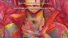 Pupa episodio 4