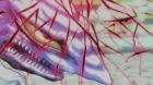 Ushio to Tora (TV) 2nd Season episodio 12