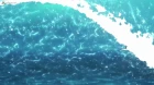 Wave!!: Surfing Yappe!! (TV) episodio 11